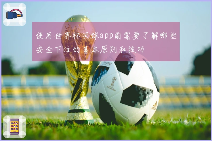 使用世界杯买球app前需要了解哪些安全下注的基本原则和技巧