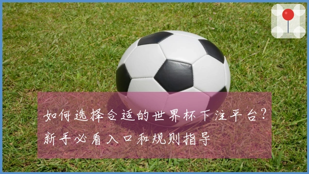 如何选择合适的世界杯下注平台?新手必看入口和规则指导
