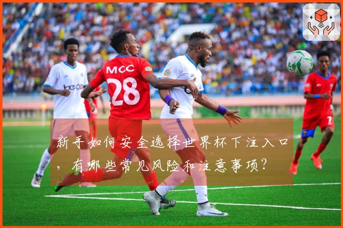 新手如何安全选择世界杯下注入口，有哪些常见风险和注意事项？