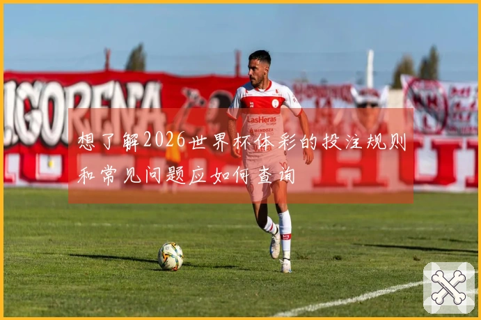 想了解2026世界杯体彩的投注规则和常见问题应如何查询