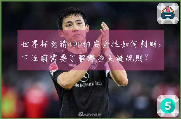 世界杯竞猜app的安全性如何判断，下注前需要了解哪些关键规则？