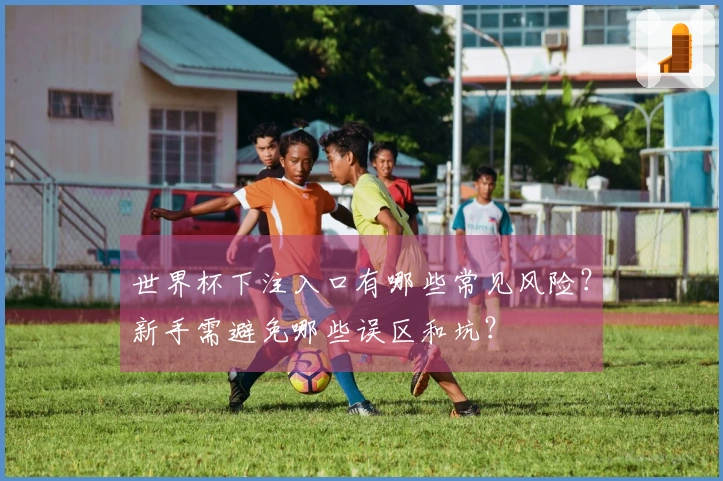 世界杯下注入口有哪些常见风险?新手需避免哪些误区和坑?