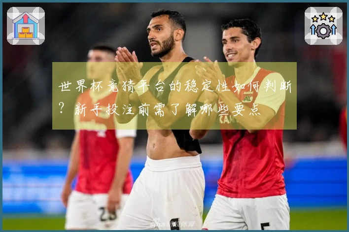 世界杯竞猜平台的稳定性如何判断？新手投注前需了解哪些要点