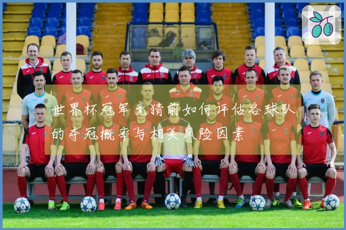 世界杯冠军竞猜前如何评估各球队的夺冠概率与相关风险因素