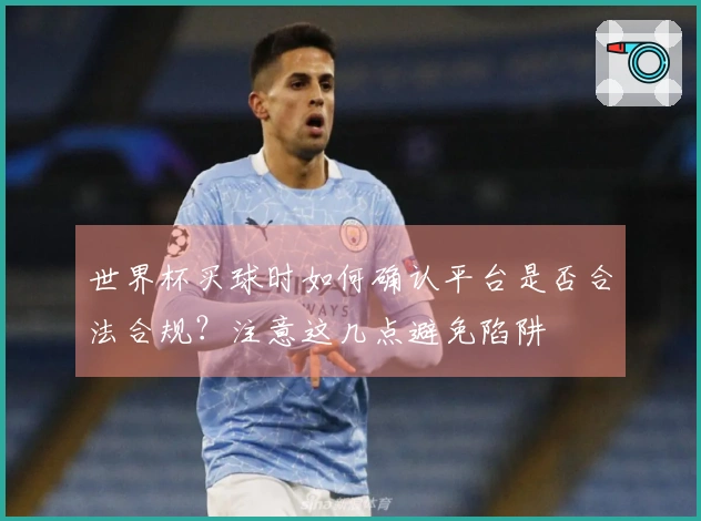 世界杯买球时如何确认平台是否合法合规？注意这几点避免陷阱