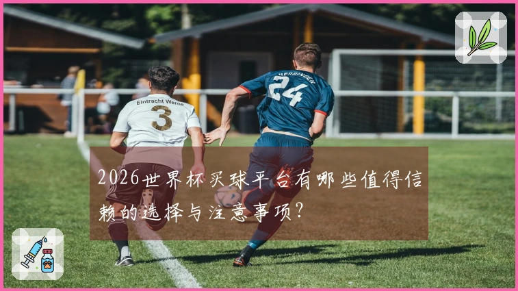 2026世界杯买球平台有哪些值得信赖的选择与注意事项?