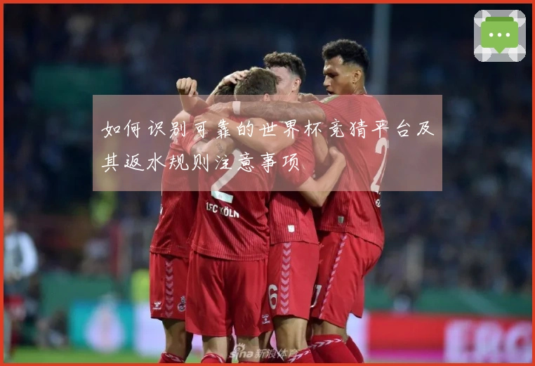 如何识别可靠的世界杯竞猜平台及其返水规则注意事项