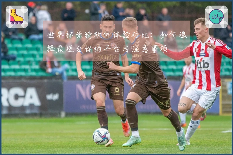 世界杯竞猜软件体验对比：如何选择最适合你的平台与注意事项