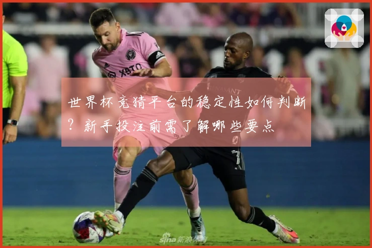 世界杯竞猜平台的稳定性如何判断？新手投注前需了解哪些要点