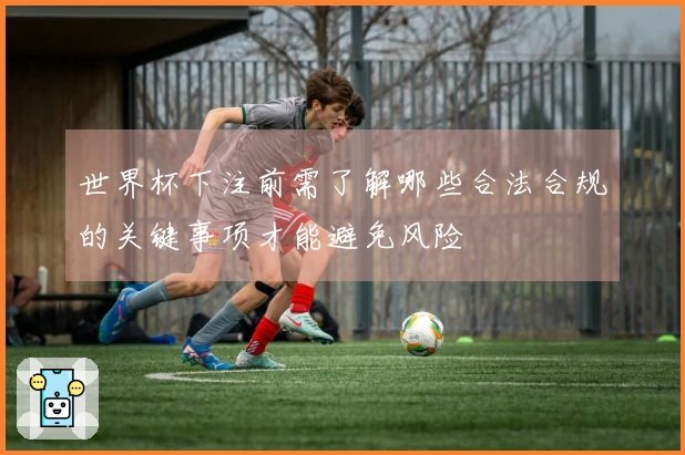 世界杯下注前需了解哪些合法合规的关键事项才能避免风险