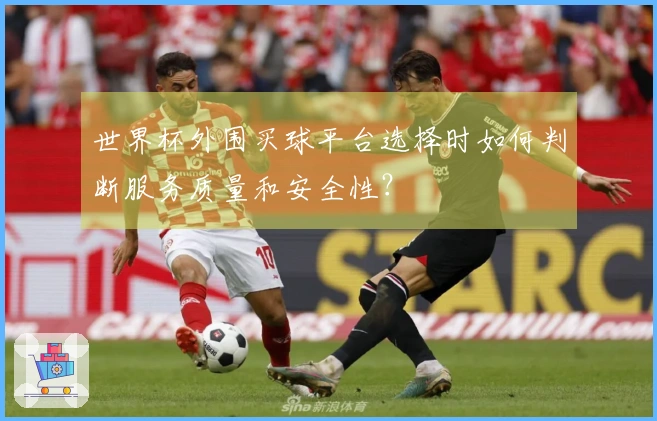 世界杯外围买球平台选择时如何判断服务质量和安全性？