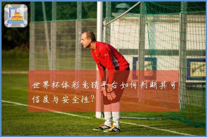 世界杯体彩竞猜平台如何判断其可信度与安全性？