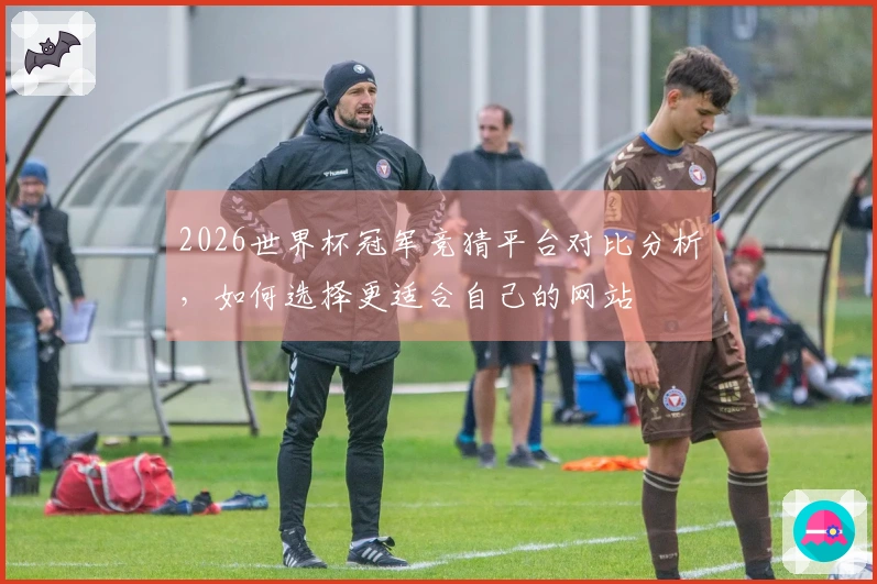 2026世界杯冠军竞猜平台对比分析,如何选择更适合自己的网站