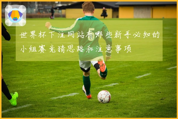 世界杯下注网站有哪些新手必知的小组赛竞猜思路和注意事项