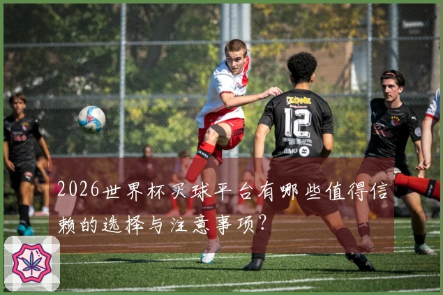 2026世界杯买球平台有哪些值得信赖的选择与注意事项？