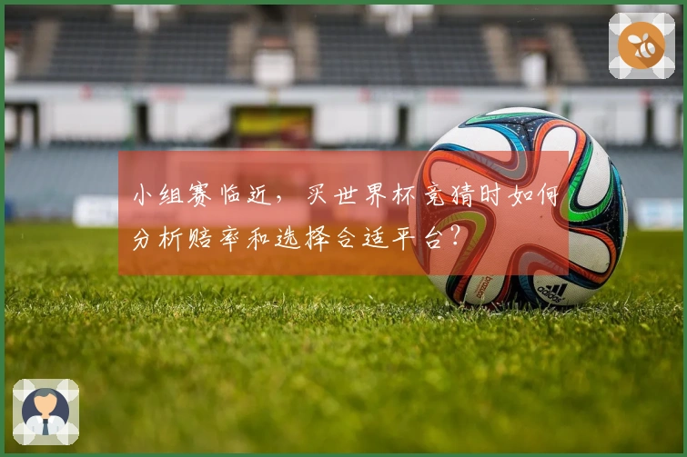 小组赛临近，买世界杯竞猜时如何分析赔率和选择合适平台？