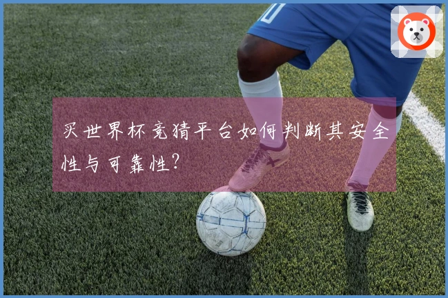 买世界杯竞猜平台如何判断其安全性与可靠性？