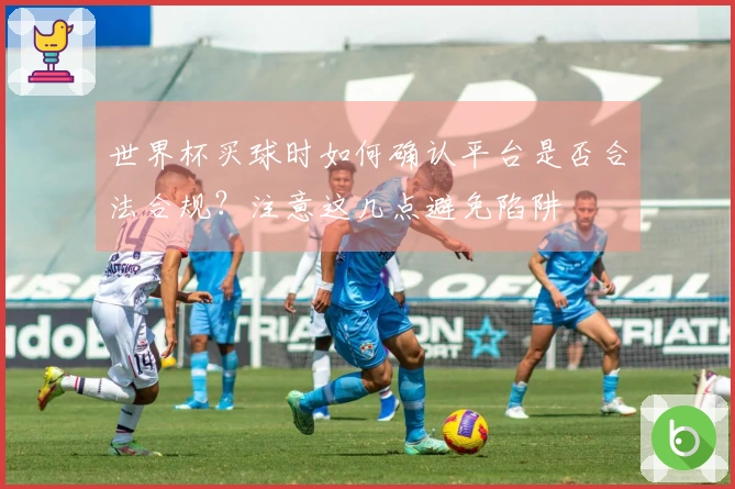 世界杯买球时如何确认平台是否合法合规？注意这几点避免陷阱