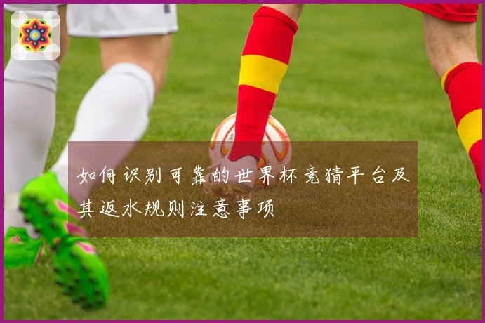 如何识别可靠的世界杯竞猜平台及其返水规则注意事项