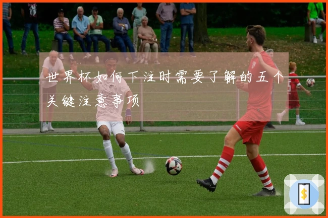 世界杯如何下注时需要了解的五个关键注意事项