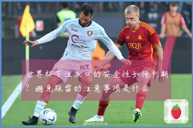 世界杯下注入口的安全性如何判断？避免踩雷的注意事项是什么