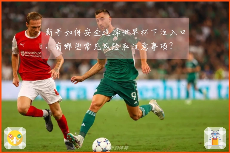 新手如何安全选择世界杯下注入口，有哪些常见风险和注意事项？