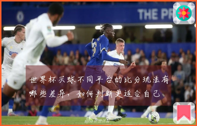 世界杯买球不同平台的比分玩法有哪些差异，如何判断更适合自己