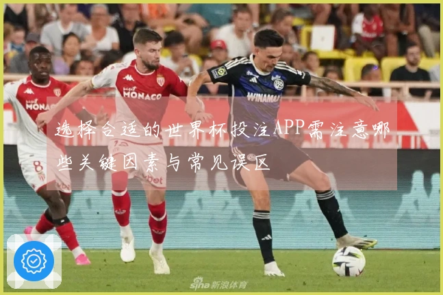 选择合适的世界杯投注APP需注意哪些关键因素与常见误区